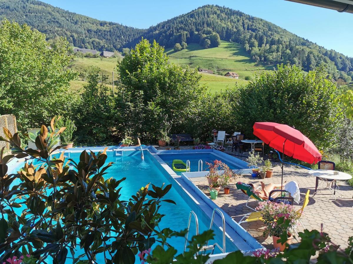 Ferienwohnung Vogelsang Im Schwarzwald Münstertal المظهر الخارجي الصورة