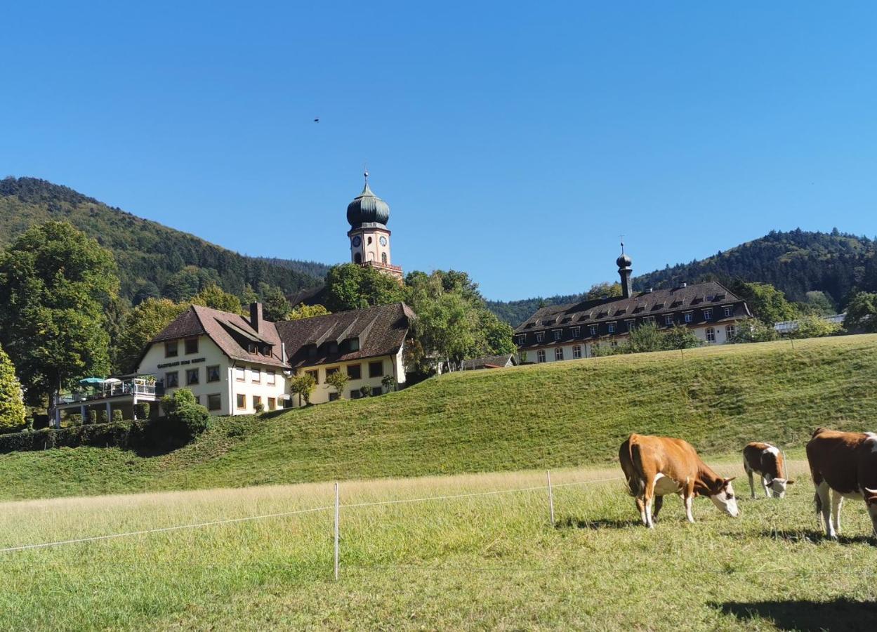 Ferienwohnung Vogelsang Im Schwarzwald Münstertal المظهر الخارجي الصورة
