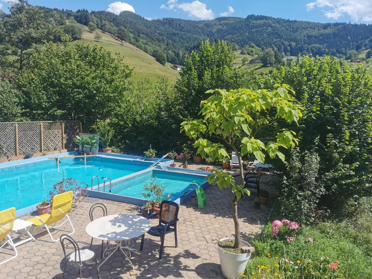 Ferienwohnung Vogelsang Im Schwarzwald Münstertal المظهر الخارجي الصورة